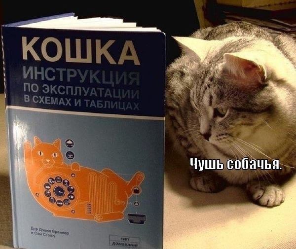 http://s1.anekdoty.ru/uploads/images/funny/open/kogda-teoretiki-pishut-knigi-praktiki-smeyutsya-open.jpg